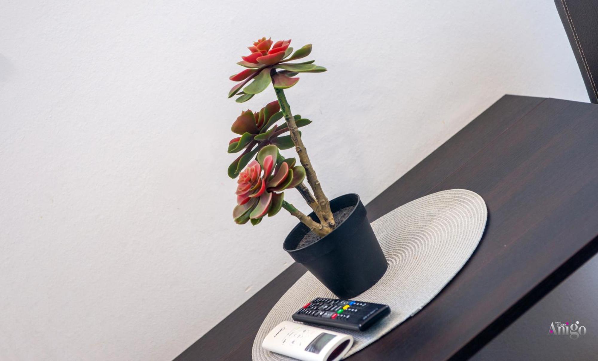 מוסטר Apartments Enigma - With Private Parking מראה חיצוני תמונה